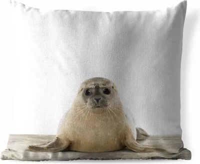 Produktbild von MuchoWow® Outdoor Kissen - Robbe - Tiere - Kinder - Jungen - Mädchen - Kinder - 40x40 cm - Wetterfest - Lounge Kissen - Kopfkissen - Interieur - Polster mit Bild