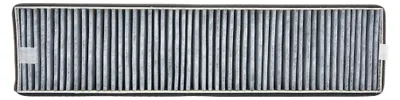 A close-up, straight-on view of a carbon filter for a range hood.