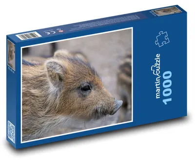 Zdjęcie produktu dla Puzzle 1000 Urocze małe prosiątko - martinpuzzle