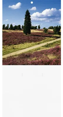 Produktbild von Kalenderrückwand 15x34cm Landschaftsmotive sortiert