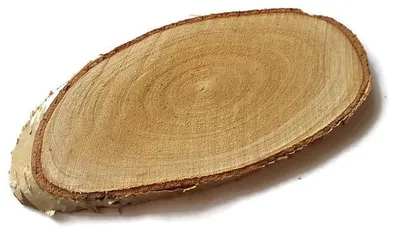 Produktbild von Birkenholzscheibe, länglich, abgeschrägt, 30–35 cm, ungeschliffen