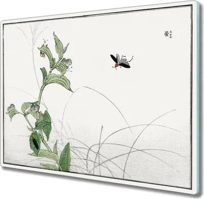 Produktbild von Coloray Küchenbrett Kochplattenabdeckung Hackbrett Schneidebrett Herdabdeckplatte 60x52 cm - Asiatische Insekten Liste