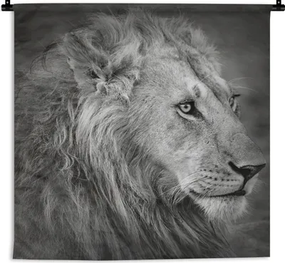 Produktbild von MuchoWow® Wandteppich Wandbehang Löwe - Tiere - Porträt 120x120 cm Tapisserie Dekoration Wandtuch - Modern - Baumwollgewebe