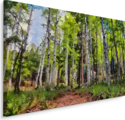 Obrázok produktu pre Báječné plátno plátno tapety 100x70 cm XXL umenie tlač les breza stromy obloha
