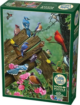 Obrázek produktu pro Puzzle 1000 kusů Lesní ptáci 112251