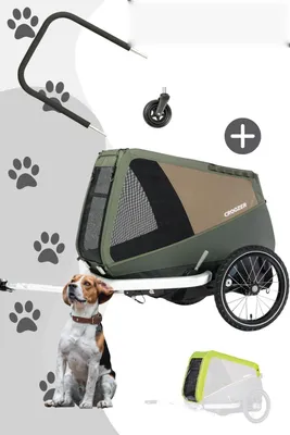 Produktbild von Croozer Dog Mikke Flex & Go Bundle (inkl. Buggyset und Regenverdeck), Farbe:Moss Green
