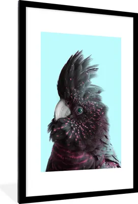 Produktbild von MuchoWow® MuchoWow® Gerahmtes Poster Kakadu - Vogel - Blau 60x90 cm - Poster mit zchwarzem Bilderrahmen - Dekoration - Wandposter Wohnzimmer - Hochwertig