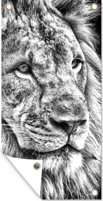 Produktbild von MuchoWow® 80x160 cm Outdoor-Poster Gartendeko Sichtschutz Garten Poster für den Garten  Porträt - Löwe - Schwarz und weiß