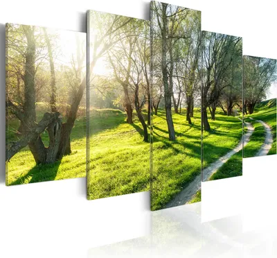 Produktbild von Leinwandbilder 200x100 cm Vlies Leinwandbild 5 tlg Kunstdruck modern Wandbilder XXL Wanddekoration Design Wand Bild - Bäume Weg Natur c-B-0029-b-n