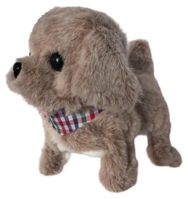 Imagen del producto de Tu adorable perrito: Askato