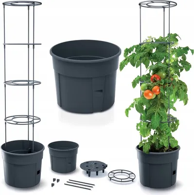 Image de Pot de culture de tomates avec support 28l
