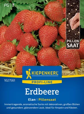 Produktbild von Kiepenkerl Profi-Line Saatgut Erdbeere Elan F1 Pillensaat für ca. 6 Pflanzen