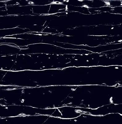 Produktbild von Bodenfliese Feinsteinzeug Prothro Black 60 x 60 cm schwarz