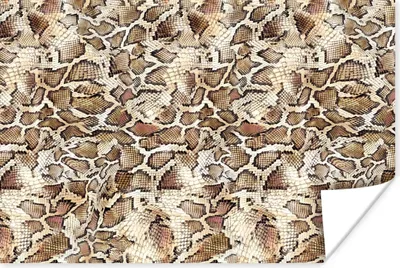 Obrázok produktu pre MuchoWow® Plagát - Had - Zvieratá - Dizajn - 120x80