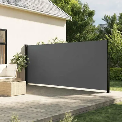 Obrázek produktu pro Výsuvná boční markýza antracit 160x300 cm