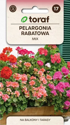Produktbild von Beetgeranien MIX 0,1g