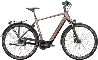 Immagine prodotto di Victoria Bicicletta elettrica da trekking Etouring 11,7 Mod. 22 E-Bike-Vict. E-Tour. 11,7 28 60 diam. arancione