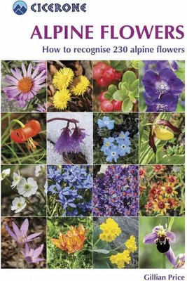 Obrázok produktu pre Alpine Flowers