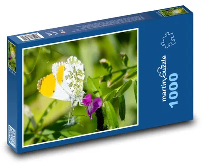 Obrázek produktu pro Puzzle 1000 Motýl Na Květině - martinpuzzle