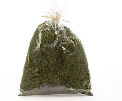 Produktbild von Moos Natur zum Basteln und Dekorieren 80g grün