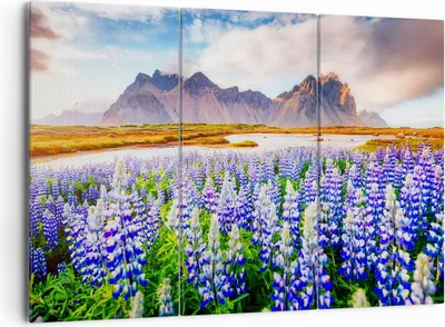 Produktbild von Bild auf Leinwand - Leinwandbild - Berge Wiese Blumen - 165x110cm - Wand Bild - Wanddeko - Leinwanddruck - Bilder - Kunstdruck - Wanddekoration - Leinwand bilder - Wandkunst - CE165x110-4114