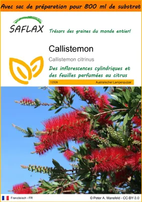 Image de SAFLAX Garden in the bag - Callistemon - 400 graines - Callistemon