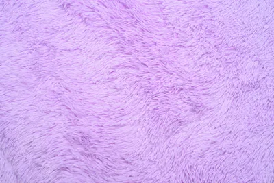A close-up, top-down view of a fluffy, violet-colored rug.