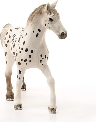 Produktbild von schleich HORSE CLUB 13889, 5 Jahr(e), Horses, Mehrfarbig, Kunststoff, 1 Stück(e)