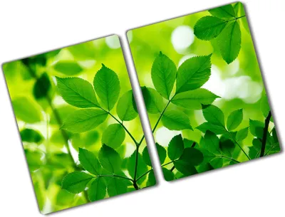 Produktbild von Tulup Glas Herdabdeckplatte - 2x40x52 cm - Glaskeramikkochfeld-Abdeckung Spritzschutz Glasabdeckplatte Kochplattenabdeckung und Schneidebrett - Zweiteilig - Blumen & Pflanzen - Grüne Blätter - Grün