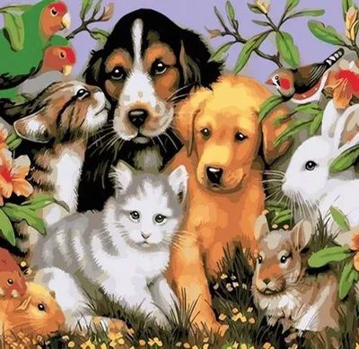 Produktbild von Malen nach Zahlen: Niedliche Tiere, 40x50 cm
