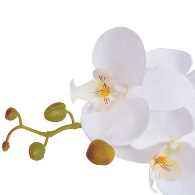 Produktbild von vidaXL Künstliche Orchidee mit Topf 65 cm Weiß
