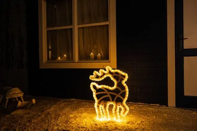Immagine prodotto di Luce per cervi DECOLED LED, 47 x 64 cm, bianco caldo