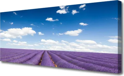 Produktbild von Tulup Leinwand-Bilder 125x50 Wandbild Canvas Kunstdruck Wiese Blumen Natur