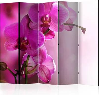 A room divider with a close-up image of pink orchids.