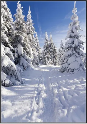 Produktbild von Wallario Wandbild Wanderweg im Schnee, Größe: 70,30 x 100,30 cm, Poster mit schwarzem Aluminiumrahmen