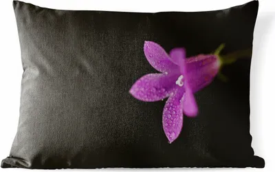 Produktbild von MuchoWow® Outdoor Kissen - Eine Nahaufnahme einer lila Lilie auf schwarzem Hintergrund - 60x40 cm - Wetterfest - Lounge Kissen - Zierkissen - Kissen für Innenräume