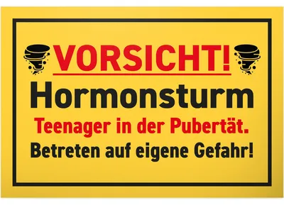 Imagen del producto de Letrero decorativo para puerta, "Hormoonstorm", de 30 x 20 cm, ideal para la habitación de un adolescente