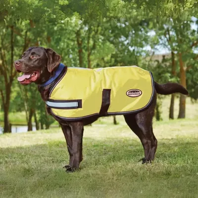 Produktbild von Weatherbeeta Comfitec Reflective Parka 300D Dog Coat - Größe 25 - Hundedecke - Yellow