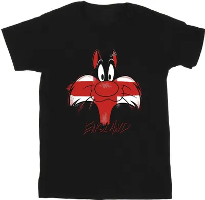 Obrázek produktu pro Looney Tunes - pánské tričko BI36172 (5XL) (černá)