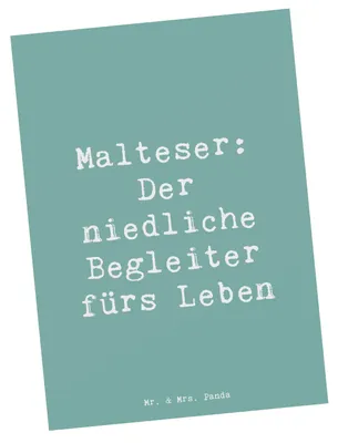 Produktbild von Mr. & Mrs. Panda Grußkarte Spruch Malteser Begleiter - Meeresbrise - Geschenk, Ansichtskarten, Ansichtskarte, Hunderassen Eigenschaften, Hundeliebe, Kleine, Postkarte