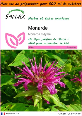 Image de SAFLAX Garden in the bag - Monarde - 20 graines - Monarda