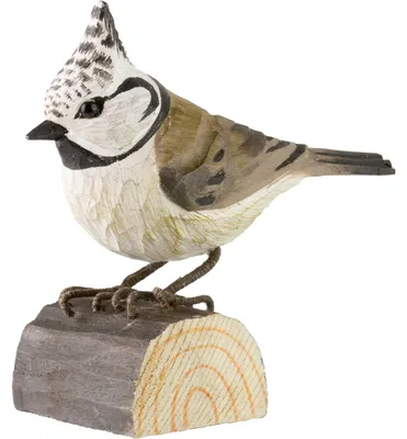 Immagine prodotto di Giardino per la fauna selvatica, modello "Haubenmeise" di Dekovogel