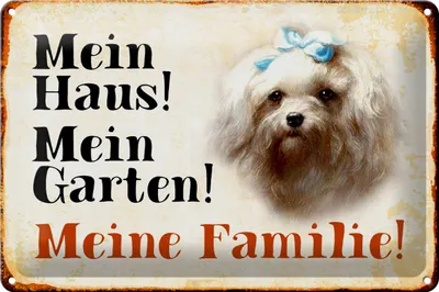 Produktbild von Blechschild Hund 30x20cm Malteser mein Haus Garten Familie