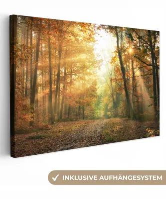 Produktbild von MuchoWow® - Leinwandbilder - Wald - Herbst - Sonne - Landschaft - Natur - Bäume - Laub, Wandbild, Wanddeko Bilder Wohnzimmer, 90x60 cm