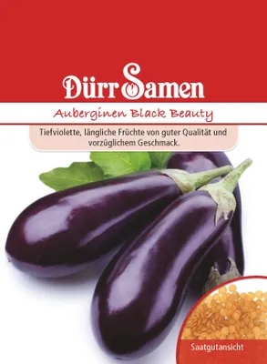 Produktbild von Dürr-Samen - Auberginen Black Beauty - Saatgut - 0553