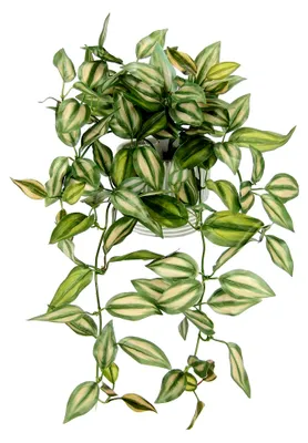 Produktbild von Künstlicher Tradescantiahänger mit Übertopf, hängende Deko-Pflanze, 42x26x22cm