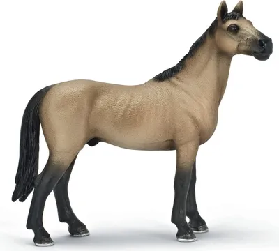 Immagine prodotto di Schleich 13690 Achal Tekkinger stallone