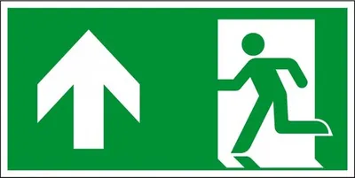 Produktbild von Dreifke® Schild I Rettungszeichen Rettungsweg geradeaus, Kunststoff, 300x150m...