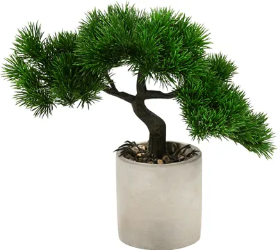 Produktbild von Dehner Kunstpflanze Bonsai mit Topf, 19 x 27 x 40 cm, Kunststoff/Zement, grün/grau
