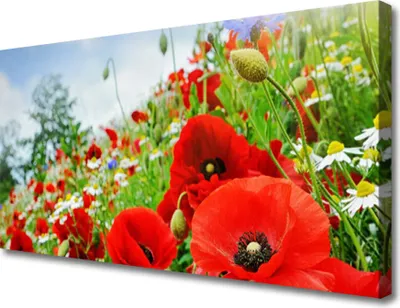 Produktbild von Tulup Leinwand-Bilder 100x50 Wandbild Canvas Kunstdruck Blumen Natur